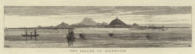 Øen Ascension af William Henry James Boot