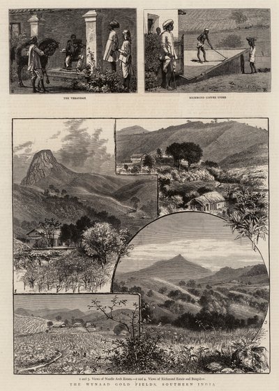 Wynaad Gold Fields, det sydlige Indien af William Henry James Boot