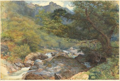 På East Lyn, North Devon af William Henry Millais
