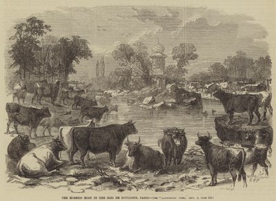 Den hornede vært i Bois de Boulogne, Paris af William Henry Prior