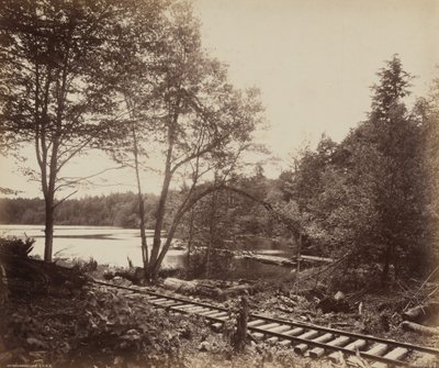 Beechwood Lake, ca. 1895 (foto) af William Herman Rau