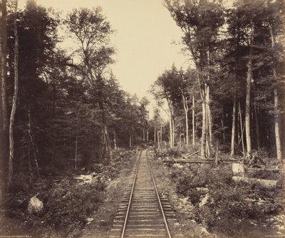 Ganoga Lake Branch, ca. 1895 (foto) af William Herman Rau