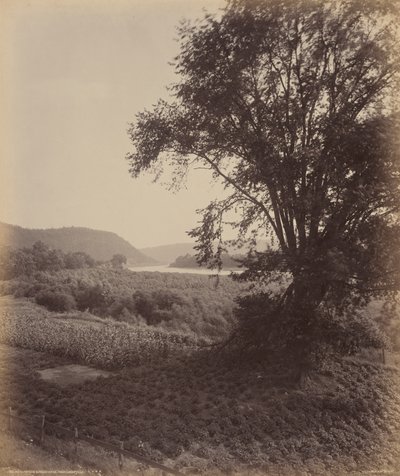 Malerisk Susquehanna, nær Laceyville, ca. 1895 (foto) af William Herman Rau