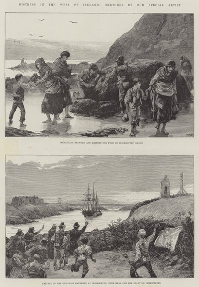 Nød i det vestlige Irland af William Heysham Overend