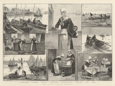 Den franske sardinindustri af William Heysham Overend