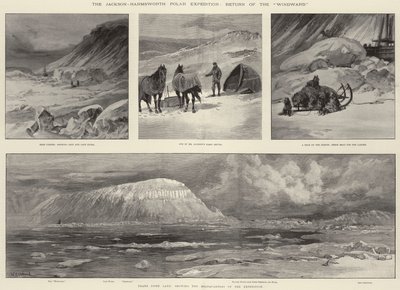 Jackson-Harmsworth Polar Ekspeditionen, Windwards tilbagevenden af William Heysham Overend
