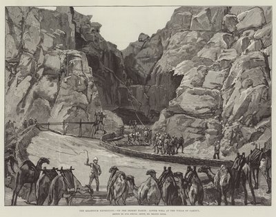 Khartoum-ekspeditionen, på ørkenmarchen, nedre brønd ved Gakdul-brøndene af William Heysham Overend