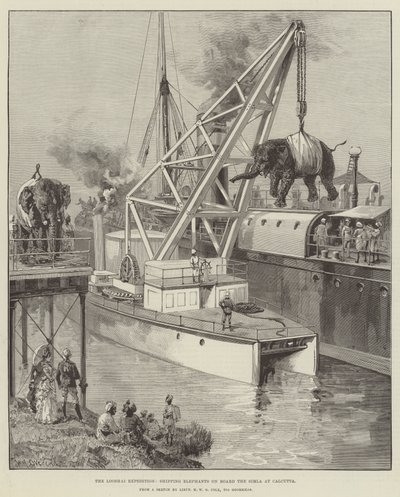 Looshai-ekspeditionen, der sender elefanter ombord på Simla i Calcutta af William Heysham Overend