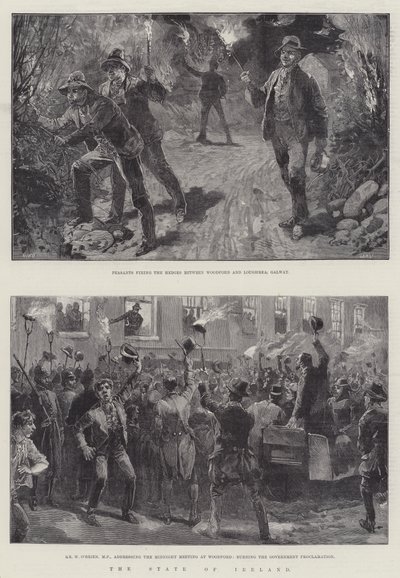 Staten Irland af William Heysham Overend