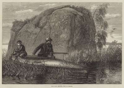 Skydning af vilde ænder, vest for Irland gravering af William Heysham Overend