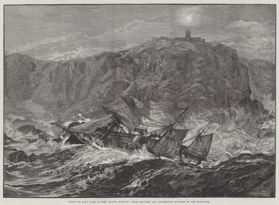 Vraget af HMS Wasp ved Tory Island, Donegal af William Heysham Overend