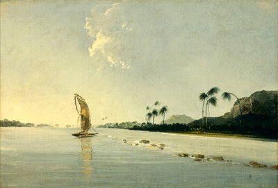 Udsigt over en del af øen Ulietea [Raiatea]. af William Hodges