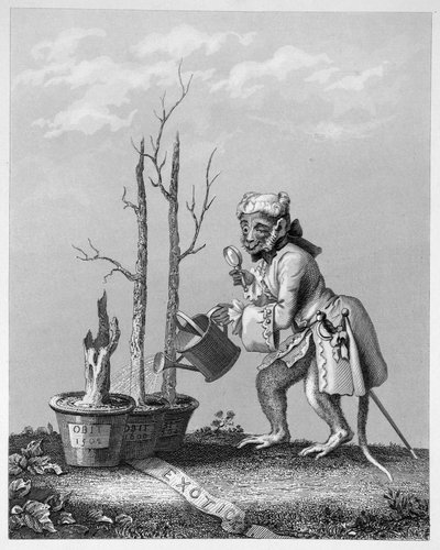 Hale, stykke til kunstnerkataloget, 1761 af William Hogarth