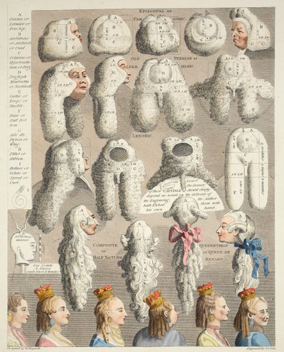 The Five Orders of Perriwigs, illustration fra 