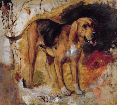 En undersøgelse af en blodhund af William Holman Hunt