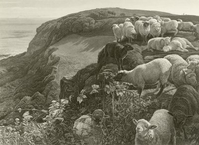 På bjergsiden (gravering) af William Holman Hunt