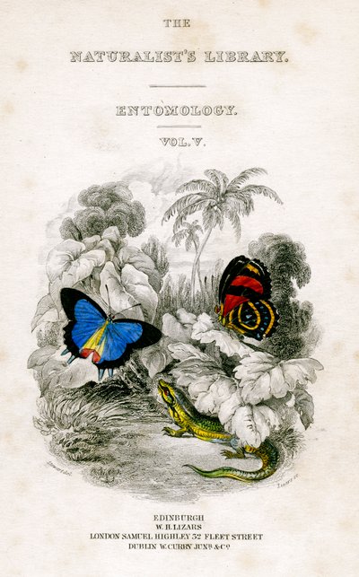 The Naturalists Library, Entomology, Vol V, Butterflies, c1833-1865. af William Home Lizars