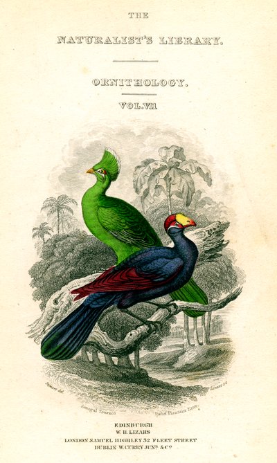 The Naturalists Library, Ornitology, Senegal Touraco, Violet Plantain Eater, c1833-1865. af William Home Lizars