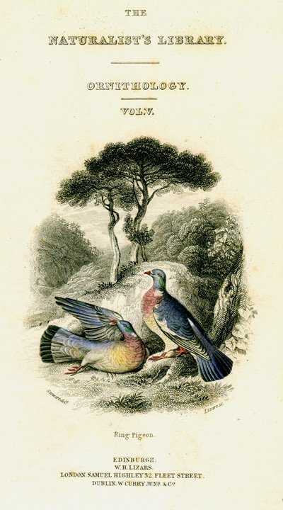The Naturalists Library, Ornithology Vol V, Ring Pigeon, c1833-1865. af William Home Lizars