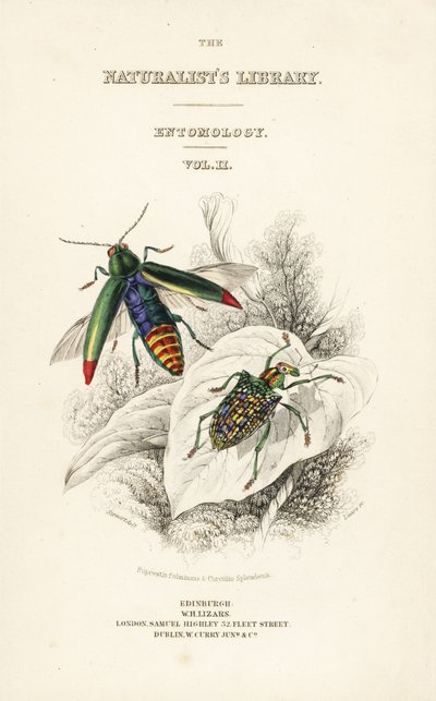 Titelside med vignet af juvelbille, Chrysochroa fulminans og patch-winged diamantbille, Curculio splendens af William Home Lizars