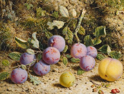 Stilleben med blommer, fersken og hyben, af William Hough