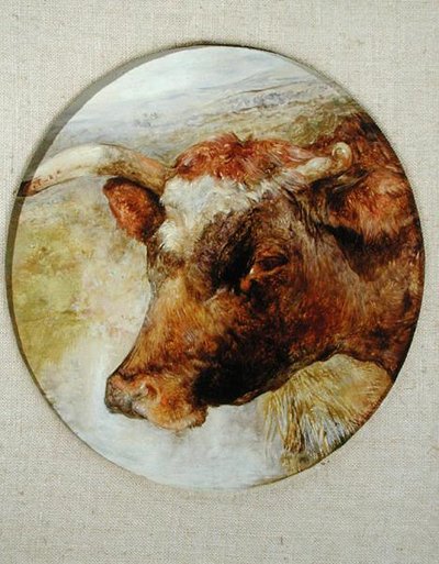 Hoved af en Longhorn Cow af William Huggins