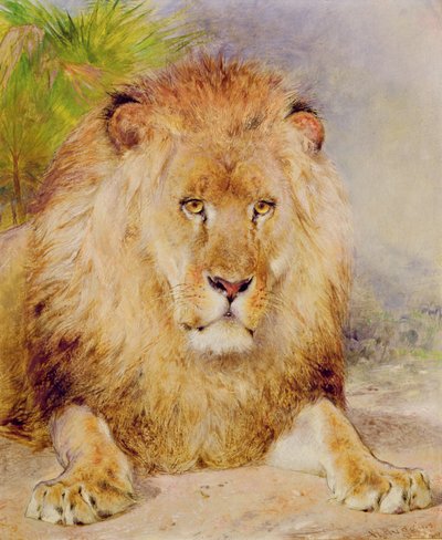 Løve af William Huggins