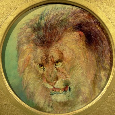 Studie af en løve af William Huggins