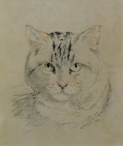 Tabby Cat, 1874 (blyant, farveblyant og kul på papir) af William Huggins