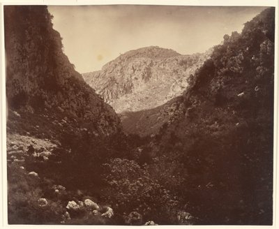 Le grand Langon (Kreta). af William J. Stillman