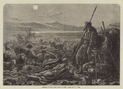 Hyrder ser på deres flokke om natten af William J. Webbe or Webb