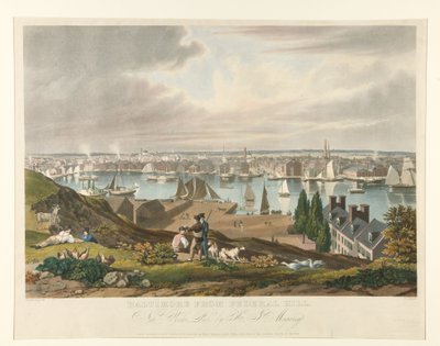 Baltimore set fra Federal Hill af William James Bennett