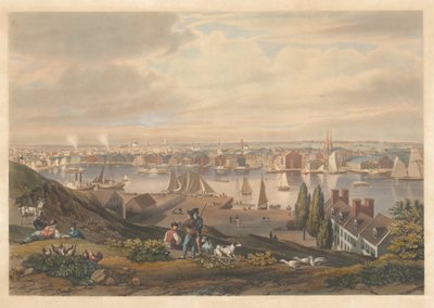 Baltimore set fra Federal Hill af William James Bennett