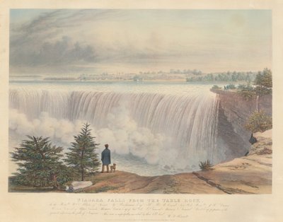Niagaravandfaldene set fra Table Rock af William James Bennett