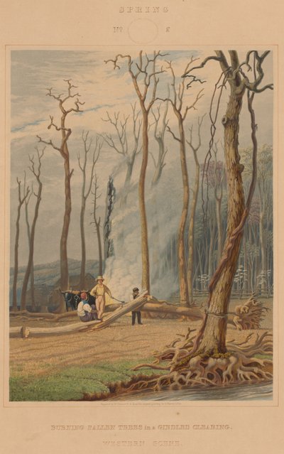 Forår - brændende faldne træer i en omgjord lysning. Western Scene af William James Bennett after George Harvey