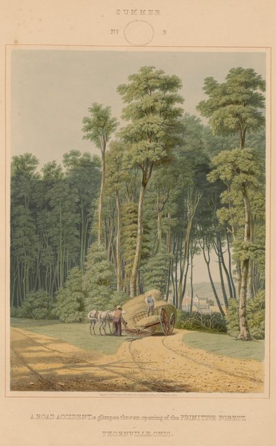Sommer - et trafikuheld. Et glimt gennem en åbning af Urskoven. Thornville, Ohio af William James Bennett after George Harvey