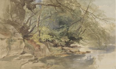 Ansigt i Stapleton Wood, nær Bristol af William James Muller