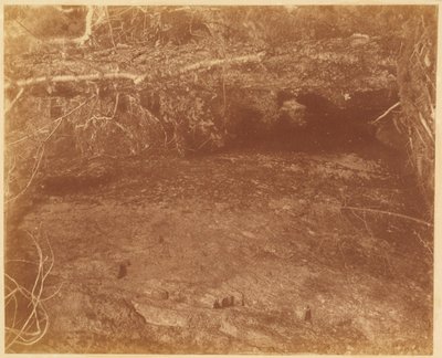 Uden titel, fra porteføljen The Forest: Adirondack-skoven af William James Stillman