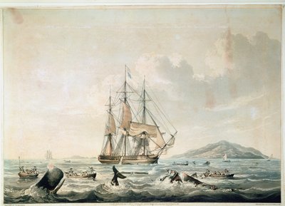 South Sea Whale Fishery, indgraveret af T. Sutherland af William John (after) Huggins
