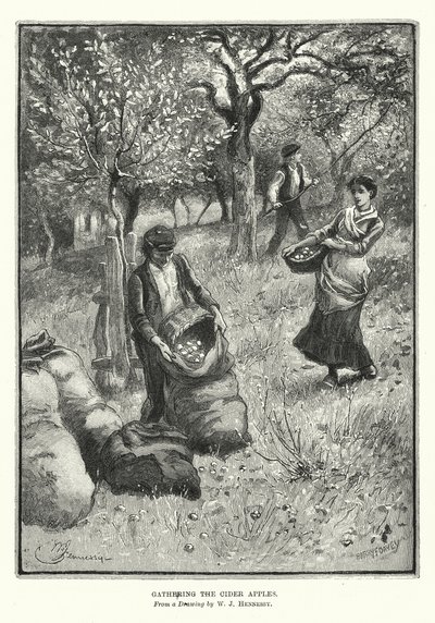 Indsamling af cideræbler (litografi) af William John Hennessy