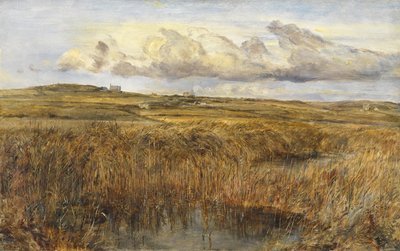 Rhoscolyn, Anglesey af William Joseph J.C. Bond