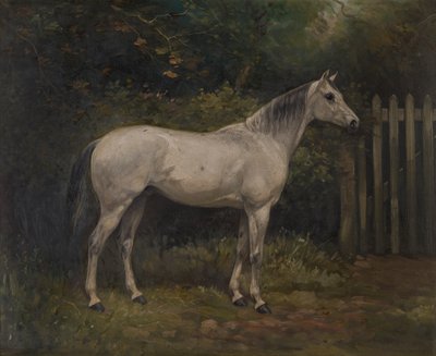 Pickles: en Basuto pony, ca. 1904 (olie på lærred) af William Josiah Redworth