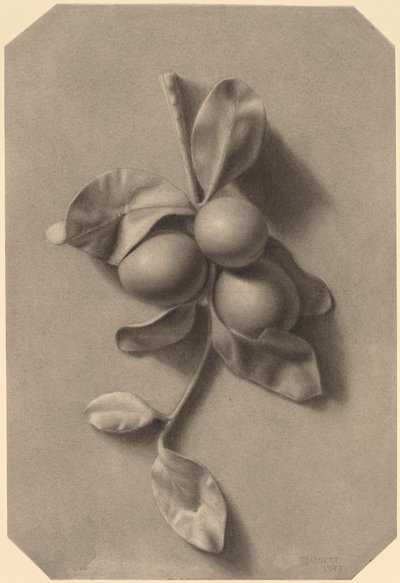 En kvist blommer af William Michael Harnett