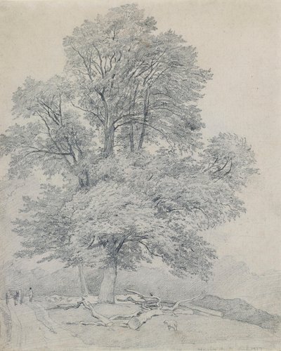  af William Mulready