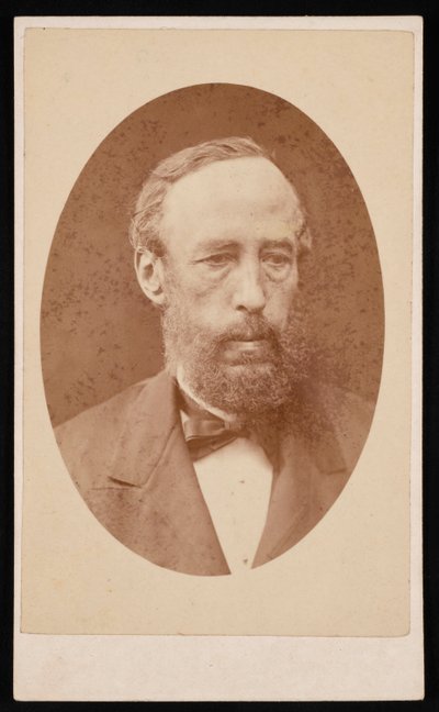 Portræt af James Croll 1821-1890, før 1876. af William Neilson