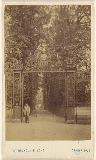 Trinity Cole Avenue af William Nichols and Sons