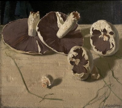 Svampe af William Nicholson
