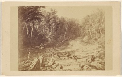 [Kopi af et maleri, der forestiller en flodscene med en mand i en kano, der fisker]. af William Notman