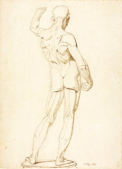 (En Ecorche, set bagfra) af William Page