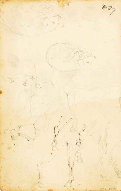 (Studier - figurer, træstamme, hest og rytter osv.) af William Page